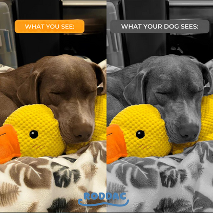 Anti-Stress Duck – The Bestseller™