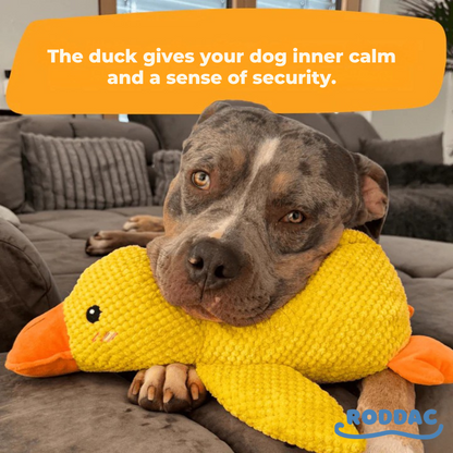 Anti-Stress Duck – The Bestseller™