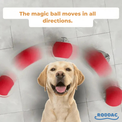 Magic and Interactive Ball for Dogs™