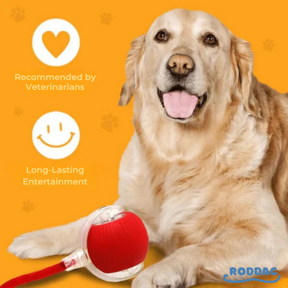 Magic and Interactive Ball for Dogs™