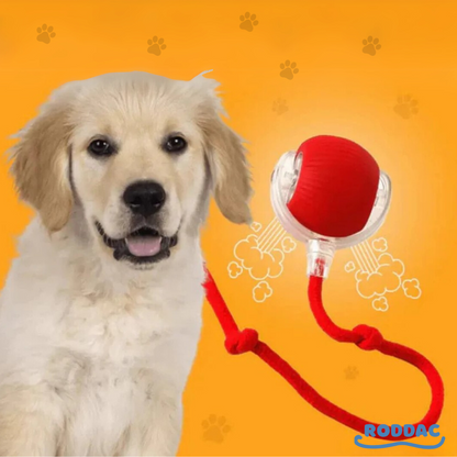 Magic and Interactive Ball for Dogs™