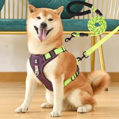 No-Pull Harness™ | Free Leash Included