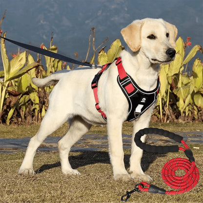 No-Pull Harness™ | Free Leash Included